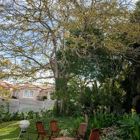 La Lupa Nera Apartment Knysna Exterior photo